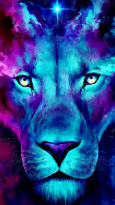 Epingle Sur Beautiful And Funny Animals