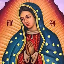 We did not find results for: Our Lady Of Guadalupe A Feast For Byzantine Catholics Too Byzantine Catholic Eparchy Of Parma Parma Oh
