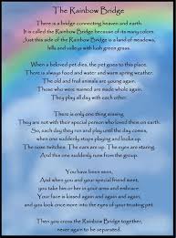 Rainbow bridge no photo digital download rainbow bridge poem rainbow bridge dog rainbow bridge cat sympathy pet loss over the rainbow us. Free Rainbow Bridge Poem Shefalitayal