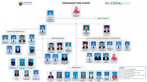 Organization Chart Noceral