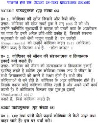 State three differences between them. Ncert Solutions For Class 9 Science Chapter 5 The Fundamental Unit Of Life
