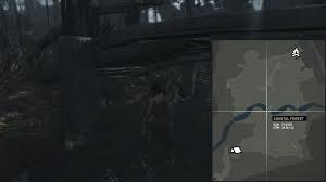 Maybe you would like to learn more about one of these? Steam Community Guide Challenge Ghost Hunter Coastal Forest