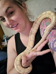 Ravenna is very much a scuba snake. Such a weird Ball Python.