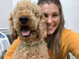 Has anyone ever ordered from alibaba? Prices just seem too good to be true 