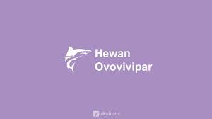Ovipar berasal dari kata ovum yang memiliki arti telur. 10 Contoh Hewan Ovovivipar Pembahasan Ciri Contoh