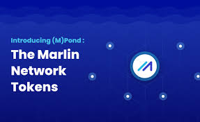 10+ bitcoin pond app referral links and invite codes. Marlin Staking For Dummies Blog