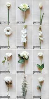 Little white flowers used in bouquets. White Flowers Wedding Flower Guide Flower Guide White Wedding Flowers