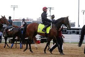 Image result for kentucky Derby