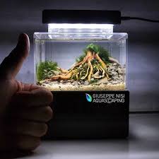 Un unboxing, un test, et un aquascaping du plus. Mini Complete Tank Mini Complete Tank Official Store