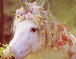 I Know Ppl Think They Aren T Real But I Have Seen Them In My Dreams And Know That They Are Real Fo Sho Trut Unicorn Unicorns And Mermaids Mythical Creatures