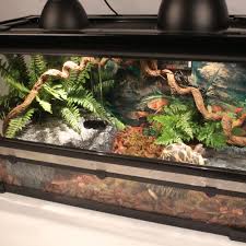 Get the best deals on snake vivariums. Reptile Tank Kit With Wire Mesh Lid Hide Away Cave Water Plate Hygrothermometer Bark Substrate Vivarium For Gecko Snake Tortoise Terrariums Aliexpress