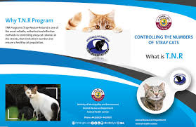 It was owned by several entities, from tnr ii llc tnr ii llc to data redacted of data redacted, it was hosted by hurricane electric inc, cloudflare. Ministry Of Municipality And Environment Tnr Leaflet Paws Rescue Qatar