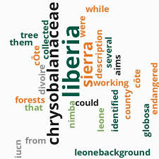 Image result for Dactyladenia