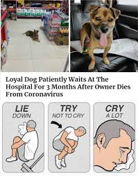 Trying Not To Cry Rn Memes