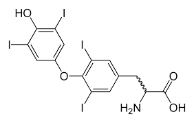 hypothyroidism wikipedia