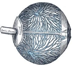 Le livre numérique (en anglais : Vorticose Veins Wikipedia
