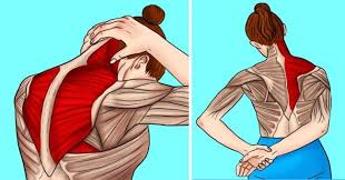 Pin On Get Shape
