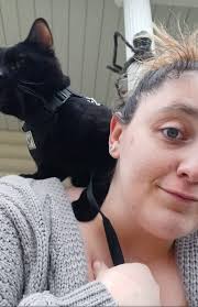 Lost Black Cat in Endicott, NY, near George W Johnson Park