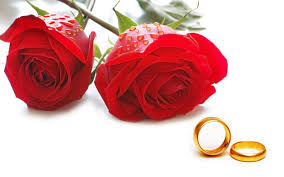 Dreamstime is the world`s largest stock photography community. Beautiful Red Roses Hd Wallpapers Images With Quotes Webstudy