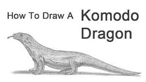 Check spelling or type a new query. How To Draw A Komodo Dragon Youtube