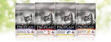 Jika breeder atau peternak kucingnya memiliki reputasi bagus, mereka pasti akan. 15 Merk Makanan Kucing Yang Bagus Dan Bergizi Tinggi