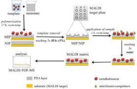 molecularly imprinted polymers coupled to mass spectrometric