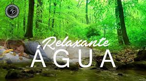 Música relaxante para acalmar a mente e relaxar profundamente. Beautiful Musica Relaxante Para Acalmar A Mente E Meditar Musica Para Meditacao Musicas Suaves Musica Relaxante