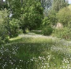 Image About Aesthetic In Messy Archive By Alexandria In 2020 Nature Outdoor Nature Aesthetic