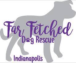 We are an animal rescue that believes in giving shelter animals a voice and happy home. Pets For Adoption At Far Fetched Dog Rescue In Indianapolis In Petfinder