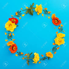 Sunsets, birds, fish, flowers, color of sky and desert sand. Round Floral Frame Of Yellow And Orange Flowers On Blue Background Stock Photo Picture And Royalty Free Image Image 87957672