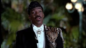 South african group part of the international boycott, divestment & sanctions (bds) against israel movement. Il Principe Cerca Moglie 2 Eddie Murphy Spiega Perche Zamunda Non Sara Come Wakanda Noi Degli 80 90