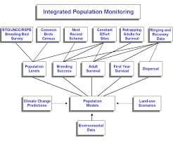 Monitoring Uk Breeding Birds Bto British Trust For