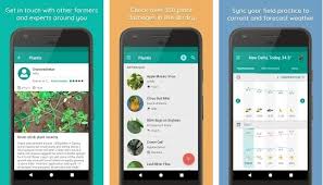 Free apps or which have at least a free version, trial, or a way to get free credits. 15 Best Plant Identification Apps Android Iphone 2021