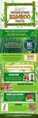 Interesting Bamboo Facts For The Curious Mind Infographic Environment Facts Perfect Plants Educational Infographic Bamboo Plants