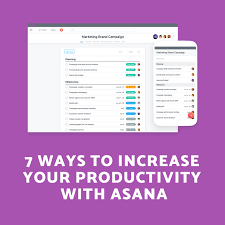 We did not find results for: 7 Ways To Increase Your Work Productivity With Asana Com