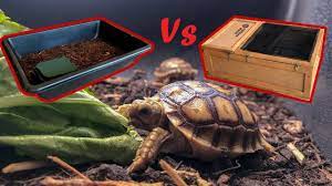 How To Set Up Your Baby Sulcata Tortoise Enclosure Youtube