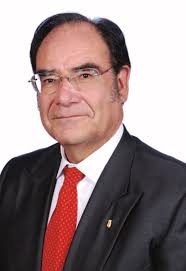 Petroleum Systems in the Southern Gulf of Mexico