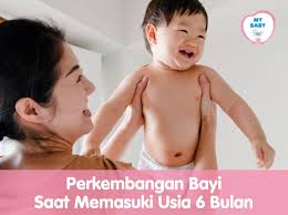 Terlebih untuk orang tua yang tidak menghadapi masalah bayi seperti bayi karena kelahiran prematur kemampuan motorik bayi yang paling menonjol pada usia 6 bulan adalah kemampuan untuk mengenali bahasa. Perkembangan Bayi Saat Memasuki Usia 6 Bulan My Baby