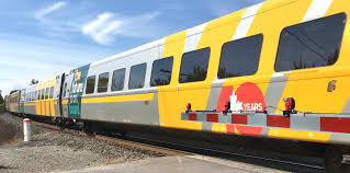 Image result for Yellow 1983 Fleet