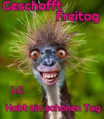 Körper.exe kann jetzt gestartet werden. Schonen Freitag Lustig Kostenlos Bilder Gbpicsbilder Com