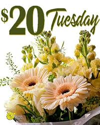 Flowers under 20 same day delivery. 20 Tuesday Delivery Indianapolis In George Thomas Florist