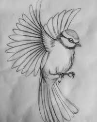Beautiful Draw Easy For Kids Fly Drawing Animal Sketches Drawing Sketches