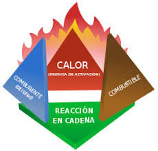 Cerca de dos terceras partes de las especies animales y plantas que existieron en la tierra se han extinguido en la actualidad. Extincion De Incendios Prevencion Proteccion Y Actuacion Ante Emergencias