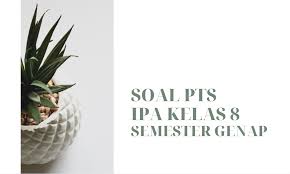 Pts ipa kelas 8 semester 1. Kumpulan Soal Dan Kunci Jawaban Pts Ipa Smp Kelas 8 Semester Genap Didno76 Com