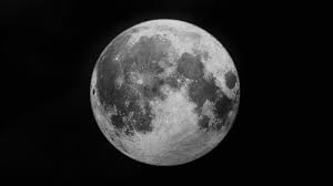 Ideas would be greatly appreciated ;d unless you want it ending in the mermaid dying (all my stories end that way, and then they were all dead!) The Moon Moon Black And White Gif On Gifer By Malanrad