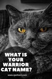What Is Your Warrior Cat Name Warrior Cat Names Warrior Cats Name Generator Cat Names
