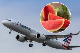 American Airlines Passenger Accuses Flight Attendants of Antisemitism in  Palestine Watermelon Pin Badge Dispute at Miami Airport