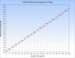 Guide To Metacam For Dogs Usage Dosage Side Effects