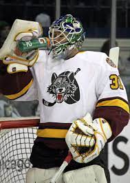 Eddie Lack Goalie Chicago Wolves Ahl Vancouver Canucks Nhl Chicago Wolves Vancouver Canucks Hockey Goalie