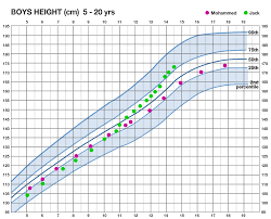 particular height predictor chart for boys average growth